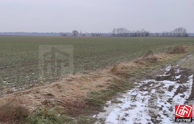 DIRECTREAL|Predaj ornej pôdy vo Hviezdoslavove