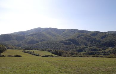 Predaj pozemku v katastri obce Píla