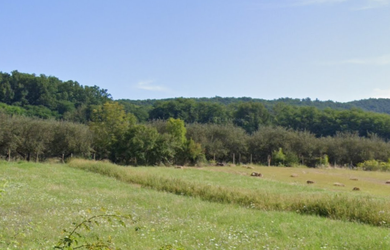 Predaj ornej pôdy Turíčky