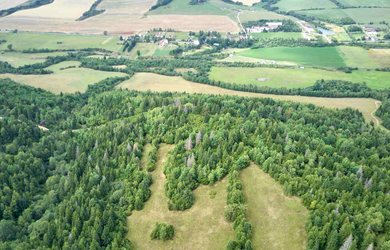 Polomka - 12.319 m2 ORNÁ PÔDA v pozemkových úpravách