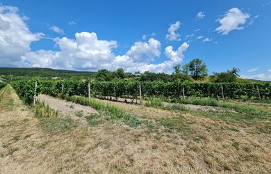 RAČA - predaj, 1748 m2 investičný pozemok na úpätí Malých Karpát