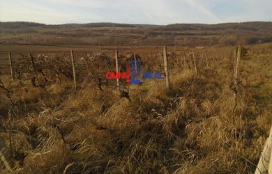 Pozemok nad Svätým Jurom, lokalita Zuby - 1403 m2 aj ako investícia
