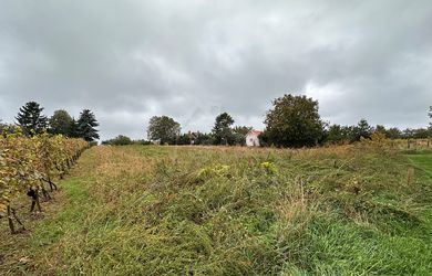 Priestranný pozemok o výmere 1666 m2 vo vinohradníckej oblasti v obci Michal nad Žitavou
