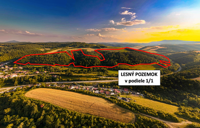 Rokycany – 250.000 m2 LESNÝ REKREAČNÝ POZEMOK v 1/1 na skok od Prešova