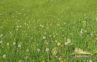 Pozemok - Oravská Lesná na predaj