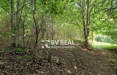 BV REAL Na predaj pozemok 4256 m2 obec Čavoj FM2319