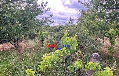 Vinohrad Svätý Jur, v tvare trojuholníka, lokalita Nové Hory - 8,3 árov