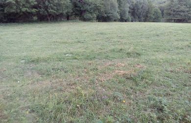 11 200 m2 Pozemok  - lúka (trvalý trávny porast ) na predaj