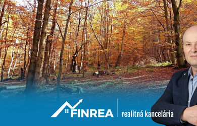 FINREA│ Lesný pozemok na predaj, Lipovec o rozlohe 45894 m2