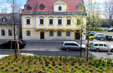 REI PREMIUM - Exkluzívny prenájom barokovej budovy v srdci Bratislavy – Ideálna pre Vašu firmu!