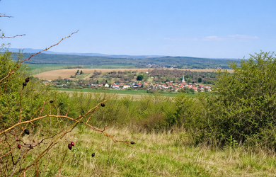 Na predaj viničný pozemok s klenbovou pivnicou a krásnym výhľadom