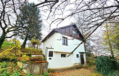 Viničný dom s vinicou Staré Predné Levice