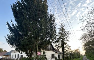 Veľký stavebný pozemok pre 6 rodinných domov