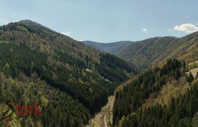 Lesný pozemok v katastrálnom území Rajecká Lesná - 2km od gejzíru