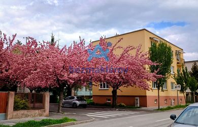 Bez maklérov predám slnečný byt v lokalite Trenčín ID 105888