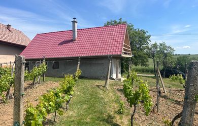 Romantický viničný domček s pivnicou a zrekonštruovaným podkrovím – Podlužany pri Leviciach