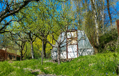 ZNÍŽENÁ CENA: Záhrada v obľúbenej záhradkárskej oblasti Boriny - Handlová | 528 m²