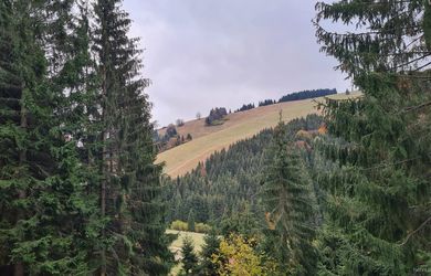 NA PREDAJ – STAVEBNÝ POZEMOK PRIAMO V LYŽIARSKOM STREDISKU MALINÔ BRDO