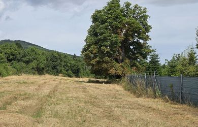 PREDAJ POZEMKU 2803 m2, Koliňany