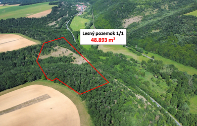 Domaníky – 49.000 m2 LESNÝ REKREAČNÝ POZEMOK v podiele 1/1
