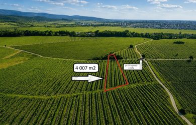 Atraktívny vinohradnícky pozemok v srdci Malokarpatskej oblasti - k. ú. Grinava