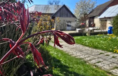 KOMPLETNE ZARIADENÝ 3-IZBOVÝ DOM LEN 4 MIN. OD STAREJ TUREJ