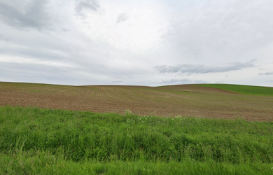 Predaj orné pôdy Radnovce R