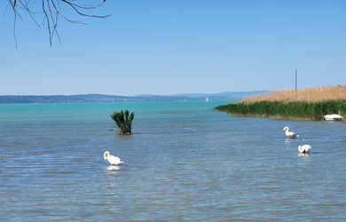 Balaton - Siófok - dvojdom 300 metrov od pláže