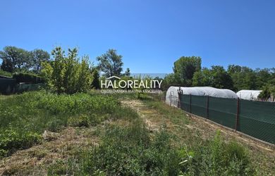 HALO reality - Predaj, veľký stavebný pozemok so starým rodinným domom Vlčany