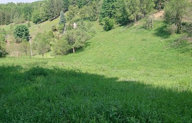Hriňová, Uhlisko – stavebný pozemok v peknej prírode, so sieťami, 9941 m2 – predaj