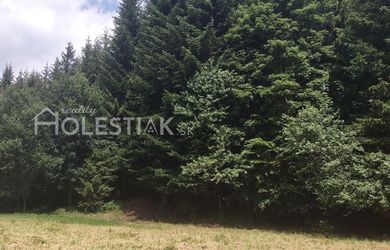 Predám stavebný pozemok Skalité - iba u nás