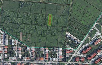TOREA - BUDÚCI STAVEBNÝ POZEMOK NA PREDAJ - PEZINOK, MUŠKÁT