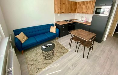 Na prenájom klimatizovaný 1-izbový byt s balkónom, kompletne zariadený