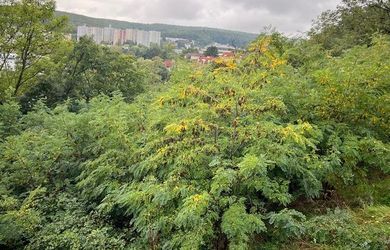 Predaj pozemky Staré grunty, na bytovú a rodinnú výstavbu