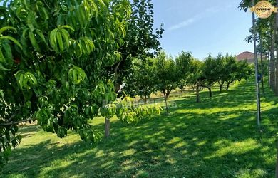 Pozemok Branovo