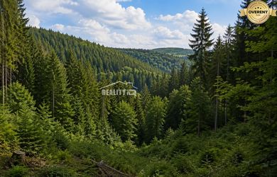 Investičná príležitosť: Lesné pozemky s výnosom 175 €/rok – Zlatníky