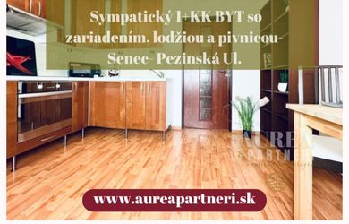PREDAJ Sympatický 1+KK BYT pripravený k nasťahovaniu-Senec Pezinská Ul