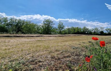 NA PREDAJ veľký pozemok s rozlohou 3765 m² v meste Nesvady