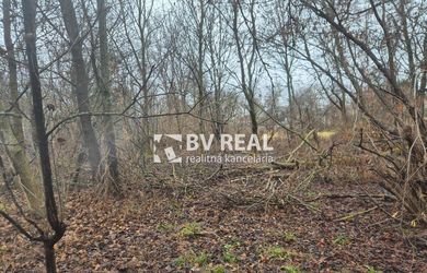 BV REAL Na predaj pozemok obec Liešťany FM2460