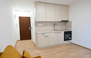 Novučičká garzónka so záhradkou a veľkou pivnicou na prenájom