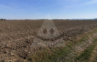 Pozemok na predaj, Blatnica