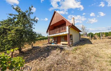 PLUS REALITY | Murovaný vínny domček s vinicou a pozemkom v obci Bátorove Kosihy na predaj !