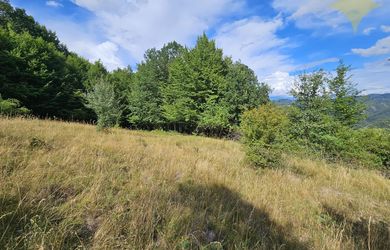 Pozemok 4 700 m² v srdci Štiavnických vrchov-výhľady, súkromie a príroda