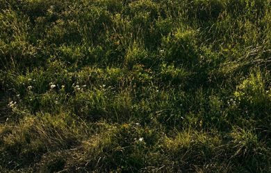NA PREDAJ : SLNEČNÝ A ROVINATÝ POZEMOK 1 000 m² – LIPTOVSKÉ SLIAČE, STREDNÝ SLIAČ