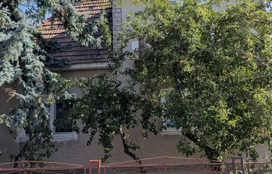 Starší dom na Chrenovej s pozemkom 1116m2, možnosť stavby druhého domu