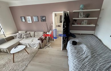 BEZ PROVÍZIE - 1-izbový byt, Trenčianska ul. kompletná rekonštrukcia, zariadený, 3/5