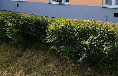 Rodinný dom v obci Ilija pri Banskej Štiavnici